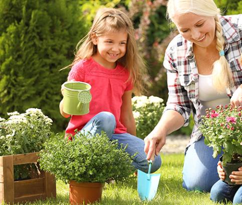 Vhodné usporiadanie rastlín v záhrade