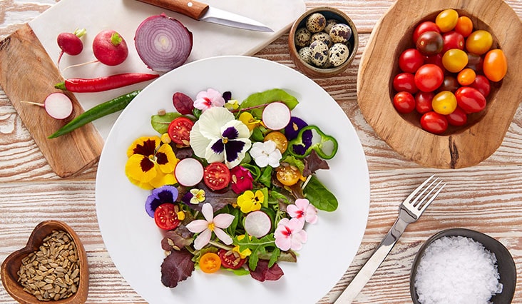 Jedlé kvety sú viac než len dekorácia
