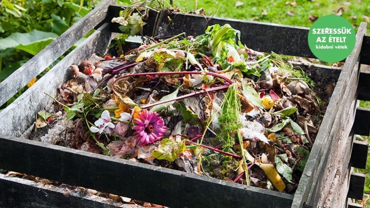 Minden, amit a komposztálásról tudnia kell