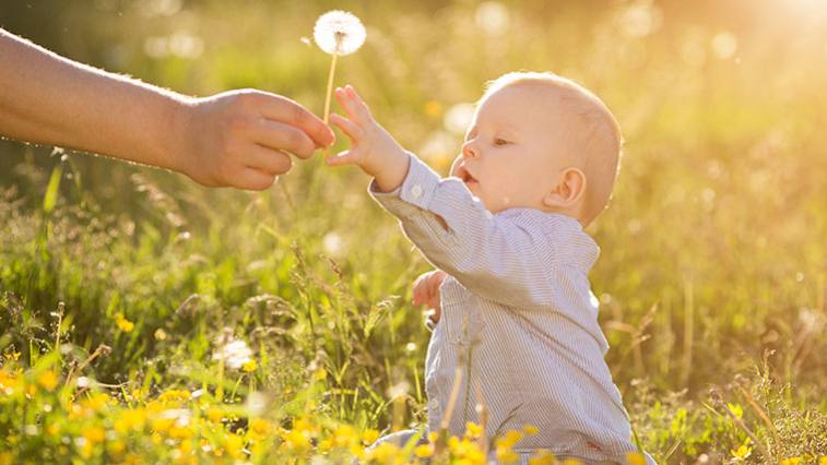 A kisgyermek hajlamos az idényjellegű allergiára?