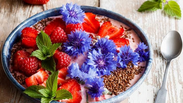 Letné bylinky a jedlé kvety