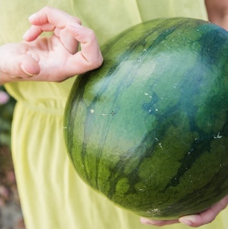 Ako vybrať dobrý červený melón? Musí spĺňať 5 kritérií