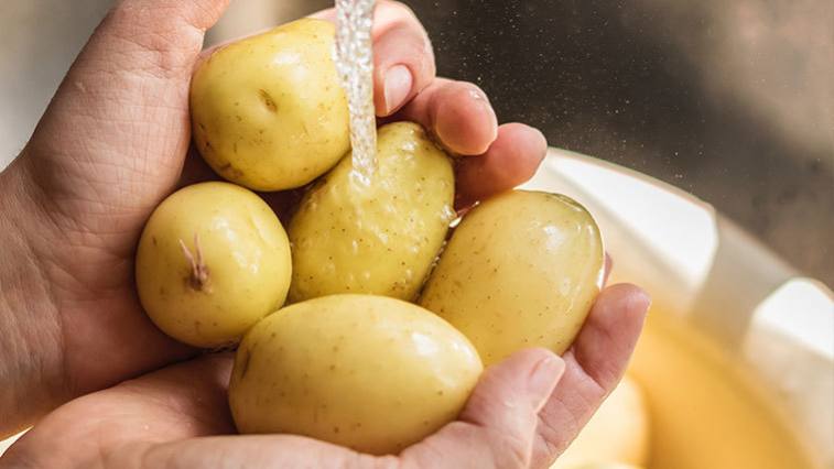 Typy zemiakov: Aký použiť na šalát a ktorý na hranolčeky?