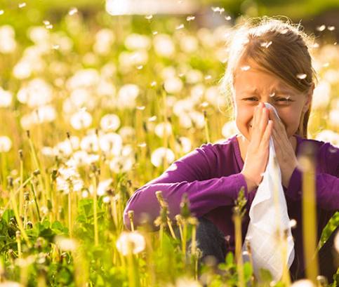 Alergia na peľ: 15 spôsobov, ako zmierniť sennú nádchu