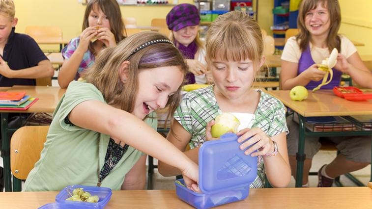 Co dělat, když dítě nechce jíst ve škole?