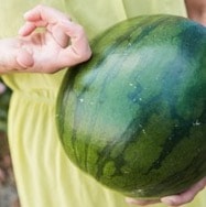 Meloun červený a žlutý: Opravdu je dobře znáte?