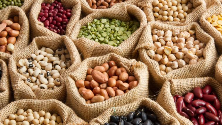A növényi fehérjék ereje a hüvelyesekben rejtőzik