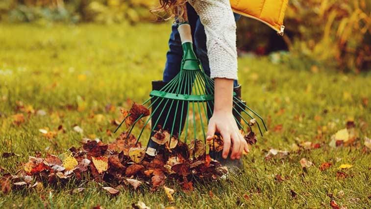 November: jarabina, šípky či zazimovanie záhrady