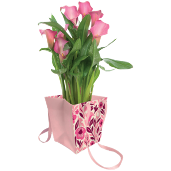 Zantedeschia v dárkovém balení