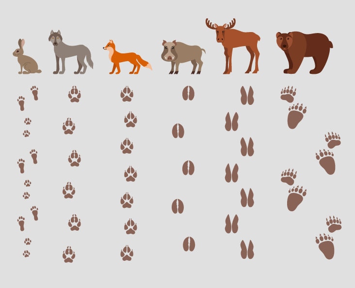 Szabadtéri játékok: a gyerekek imádni fogják őket!