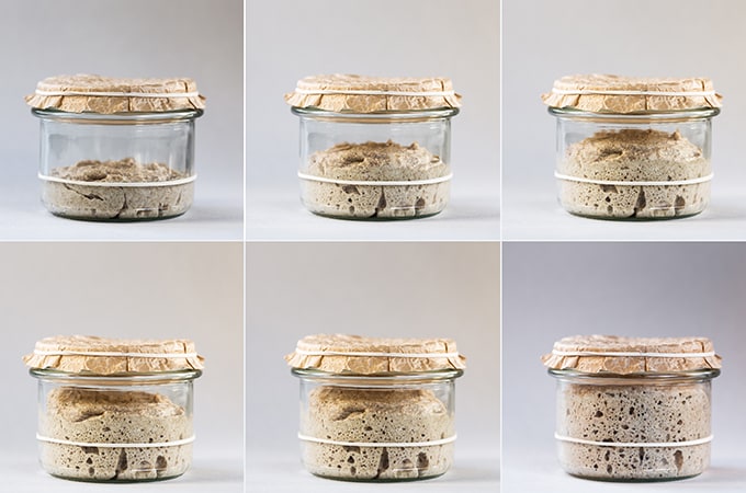 Ako pripraviť kvások: Trúfnete si na založenie kvásku?