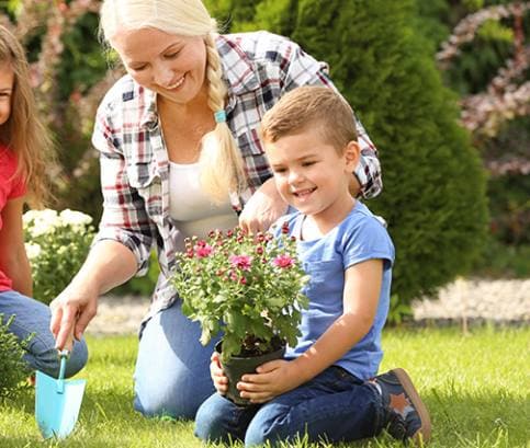 Zöldségek és gyümölcsök 