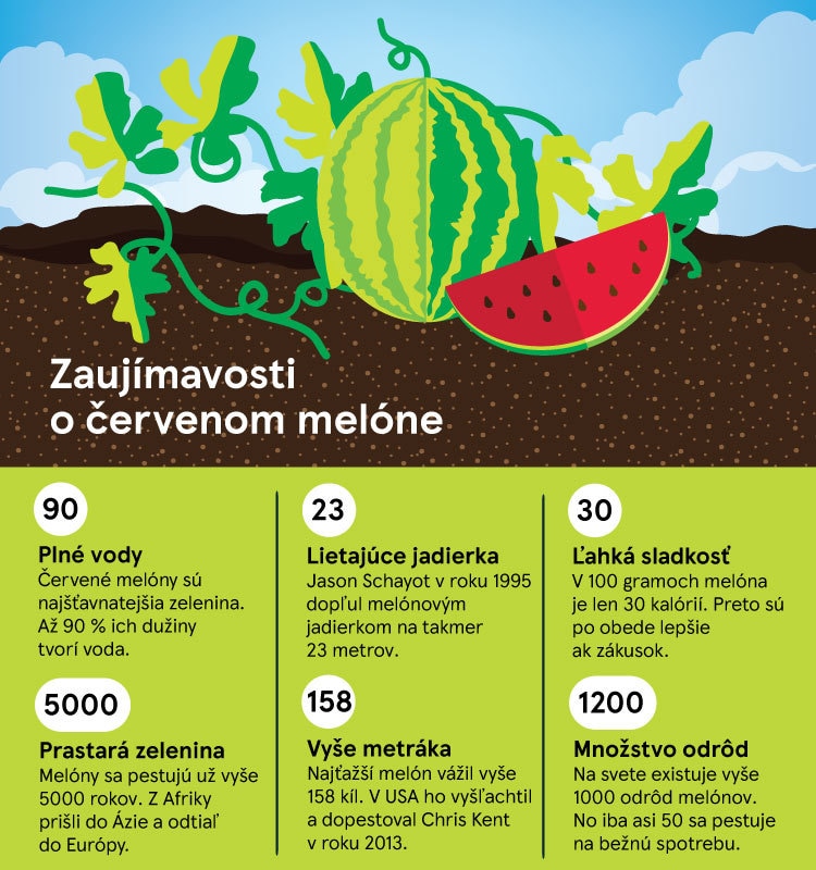 Melón červený a žltý: Naozaj ich dobre poznáte?  