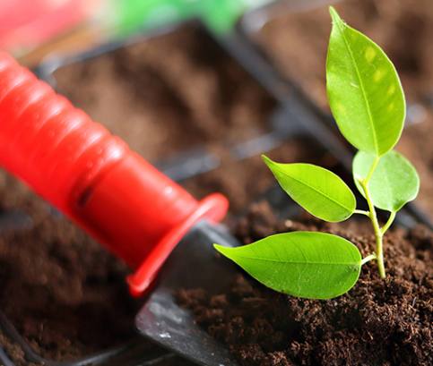 Pravidelné zalévání zahrady nestačí