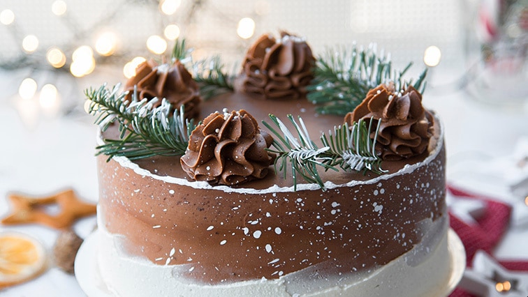 Čokoládovo-oříškový dort