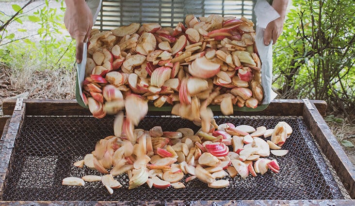 Sušené ovocie? Zistite, ako sušiť slivky či šípky