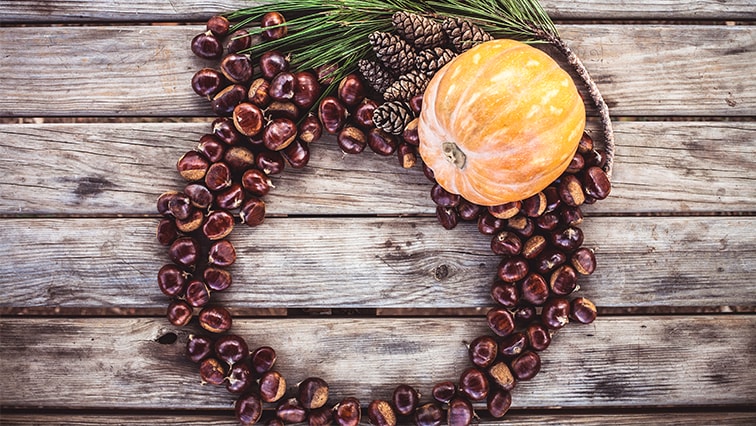 Podzimní výzdoba: 3 tipy, jak si zkrášlit domov