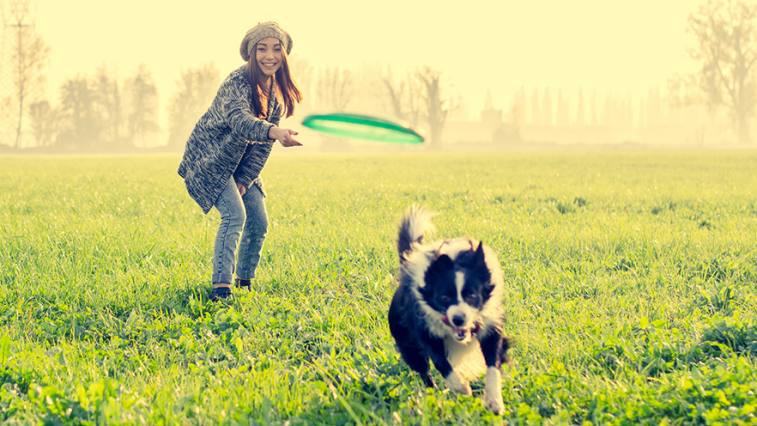 Kutyás sportok: A négylábú edző gyorsan formába hozza Önt