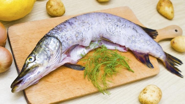 Štika grilovaná v alobalu