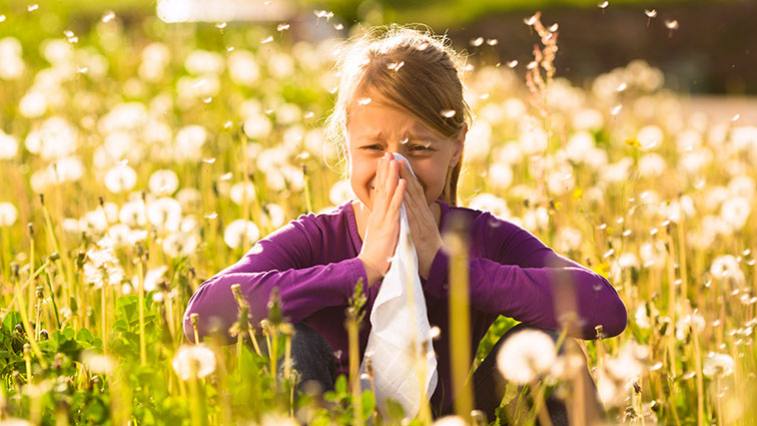 Alergia na peľ: 15 spôsobov, ako zmierniť sennú nádchu