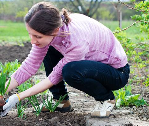 Márciusban készítse elő kertjét a tavaszra