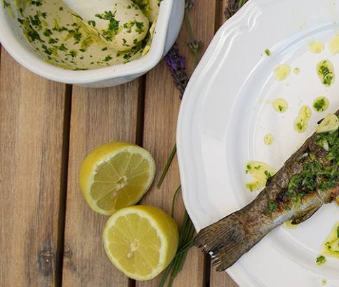 Grilovaný pstruh s gremolatou