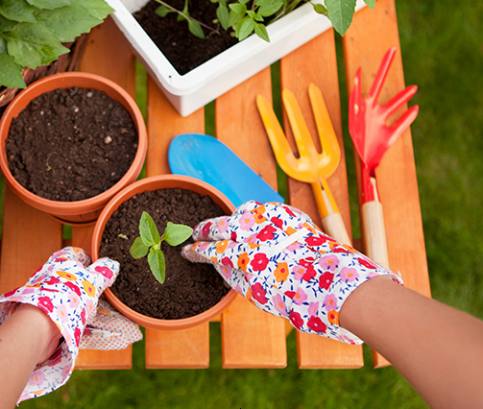 Tavaszi kert márciustól májusig