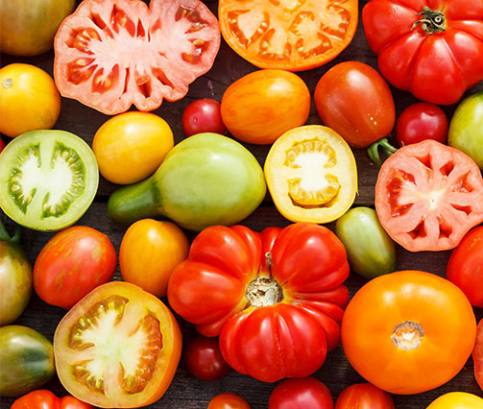 Tajomstvo paradajky: je ovocie alebo zelenina? 