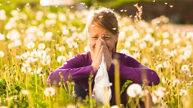 Alergie na pyl: 15 způsobů, jak zmírnit sennou rýmu