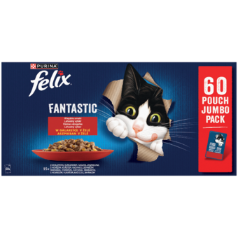 Felix Fantastic Kapsičky pro kočky