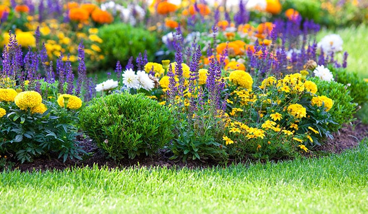 Virágoskert a szebb lakókörnyezetért