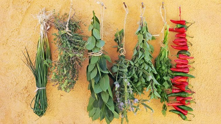 Čerstvé alebo sušené? Prehľad byliniek a korenín