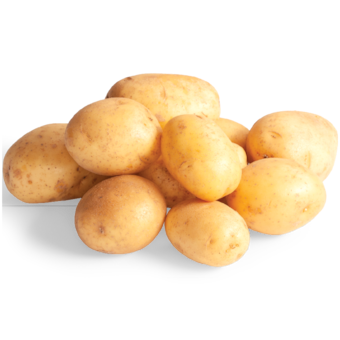 Brambory volné rané
