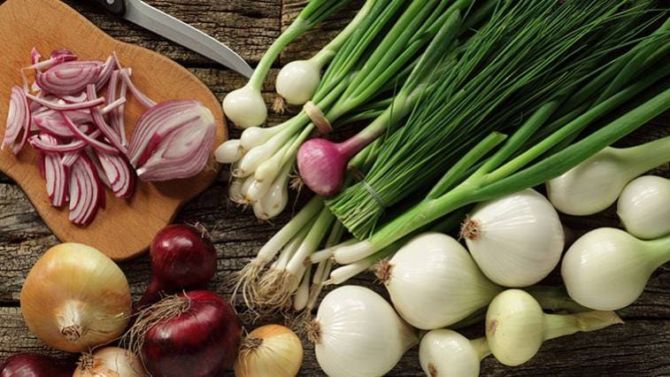 Šalotka, jarná, červená: Ktorú cibuľu použiť pri varení?