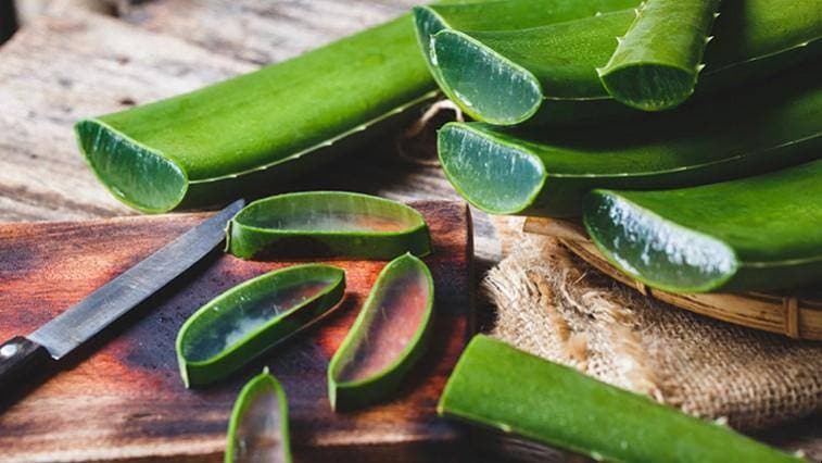 Aloe verával az egészségünkért, szépségünkért és karcsúságunkért