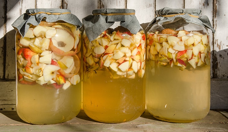 Domáci jablčný ocot – univerzálny liek