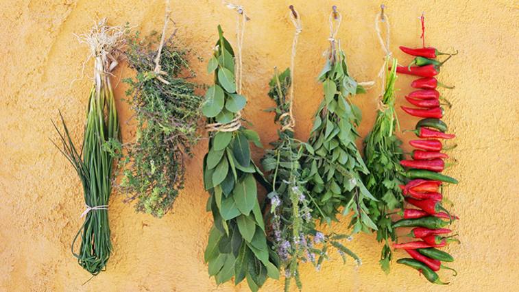Čerstvé, nebo sušené? Přehled bylinek a koření