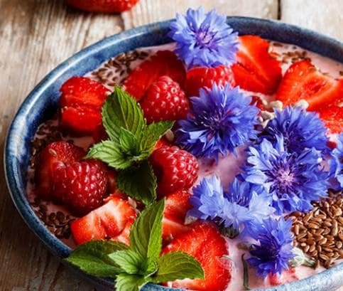 Letné bylinky a jedlé kvety 