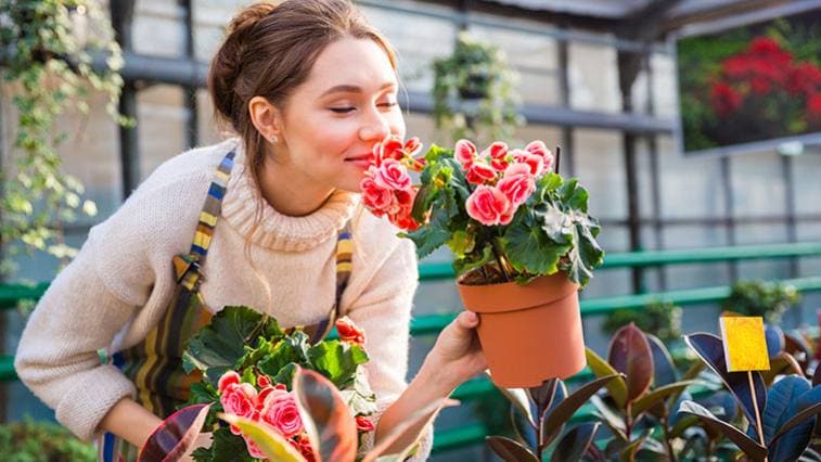 Bydlete lépe: Květinový záhon zkrášlí každý prostor