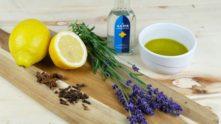 Házi rovarriasztók szúnyogok és kullancsok ellen