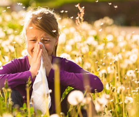 Virágpor-allergia: 15 tipp a szénanátha enyhítésére