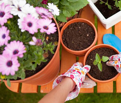 Jarná záhrada od marca do mája