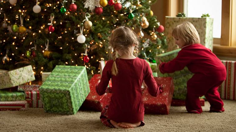 Vianoce: Vziať umelý vianočný stromček alebo živý