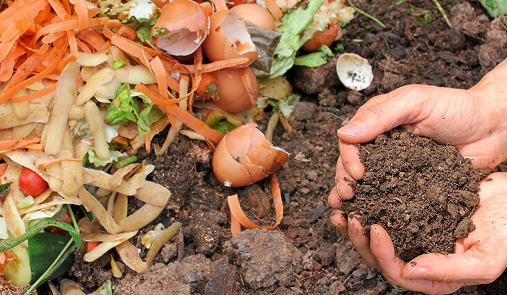 Zelené novoroční předsevzetí – jez, šetři, recykluj!