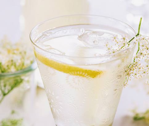 Amundsen s bazovou limonádou