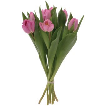 Kytice tulipánů