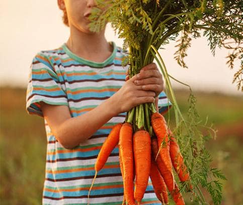 Mrkva – užitočná od plienok až po chorobu