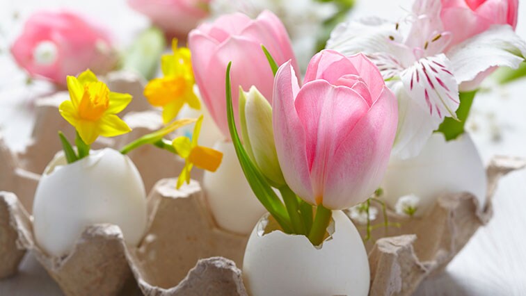 Objevte kouzlo obalů od vajec: Ozdobí váš dům i zahradu