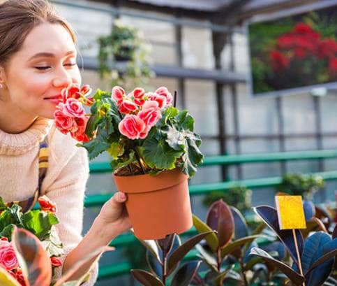 Virágoskert a szebb lakókörnyezetért