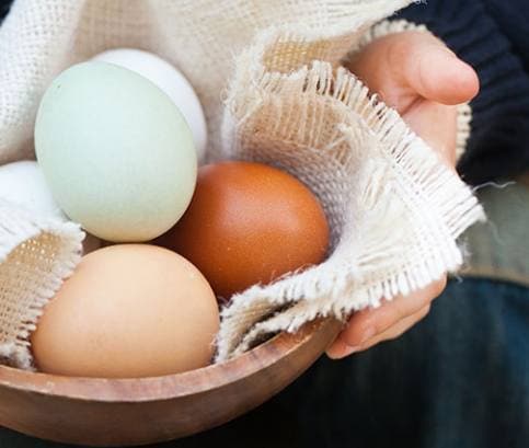 25 érdekesség és tény a tojásról